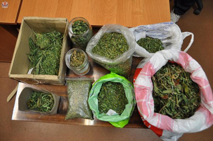 Znaleziono 0,5 kg marihuany u 17-latka z Tyszowiec